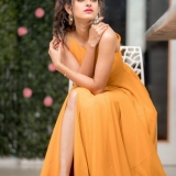 Ayesha Photos