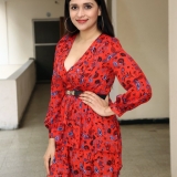 Mannara Chopra Stills