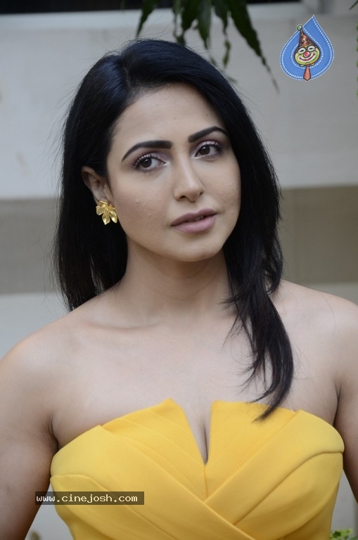 Nandini Rai Photos - 15 / 21 photos