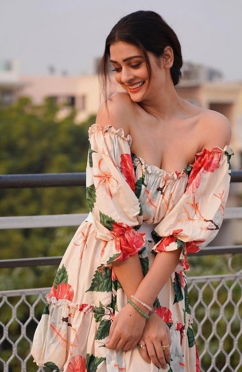 Payal Rajput Photos - 1 / 4 photos