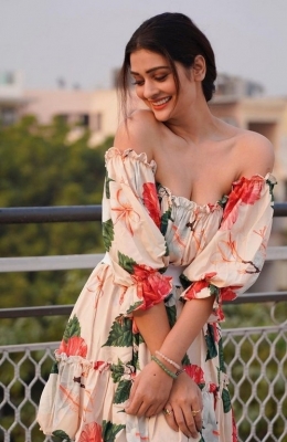 Payal Rajput Photos - 1 of 4