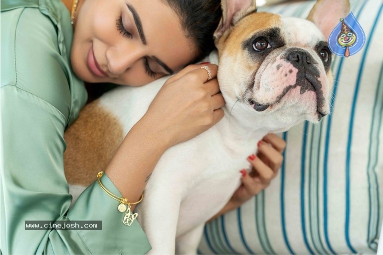 Samantha Akkineni Photos - 5 / 6 photos