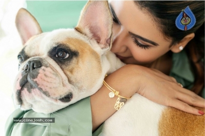 Samantha Akkineni Photos - 1 of 6