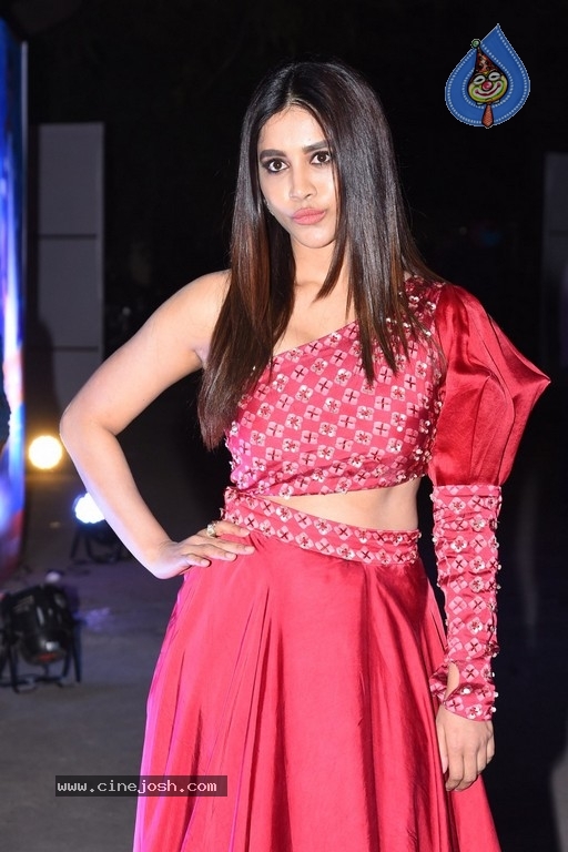 Nabha Natesh Photos - 13 / 16 photos