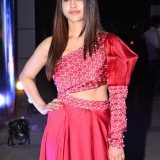 Nabha Natesh Photos