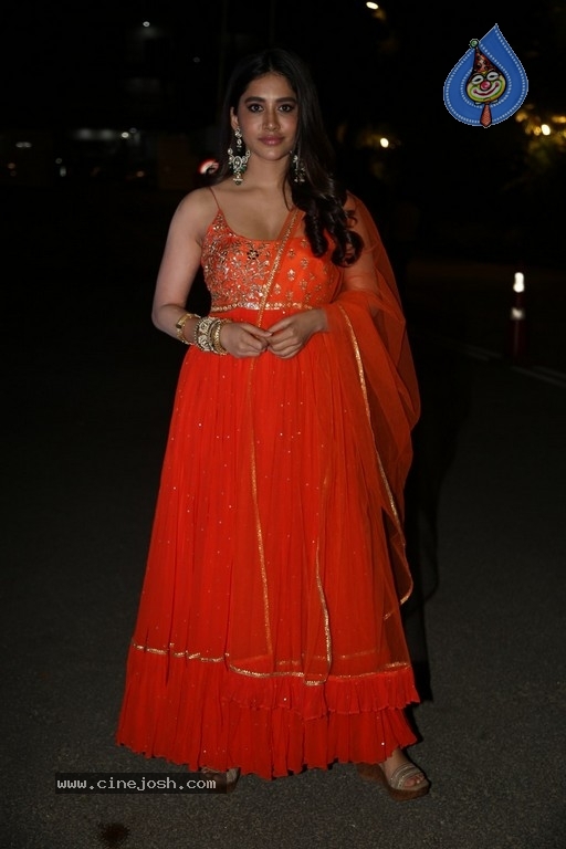 Nabha Natesh Pics - 4 / 19 photos