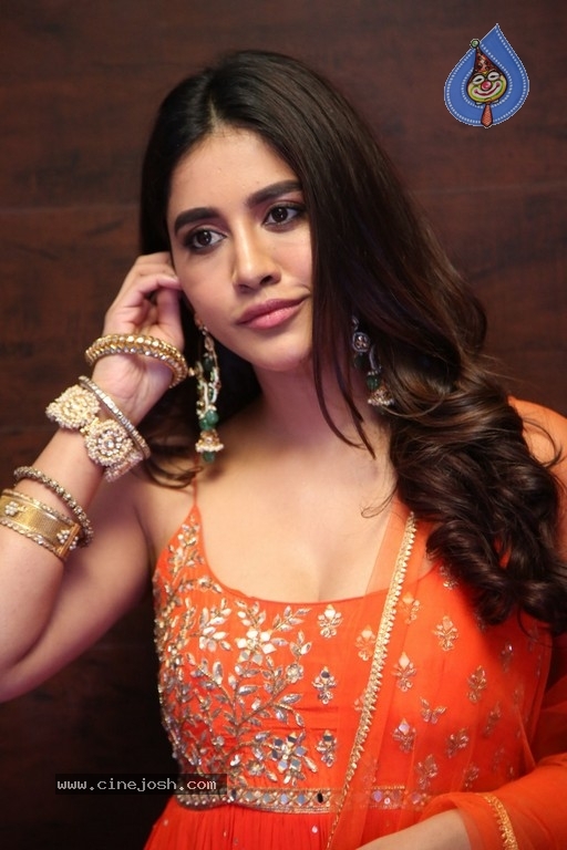Nabha Natesh Pics - 8 / 19 photos