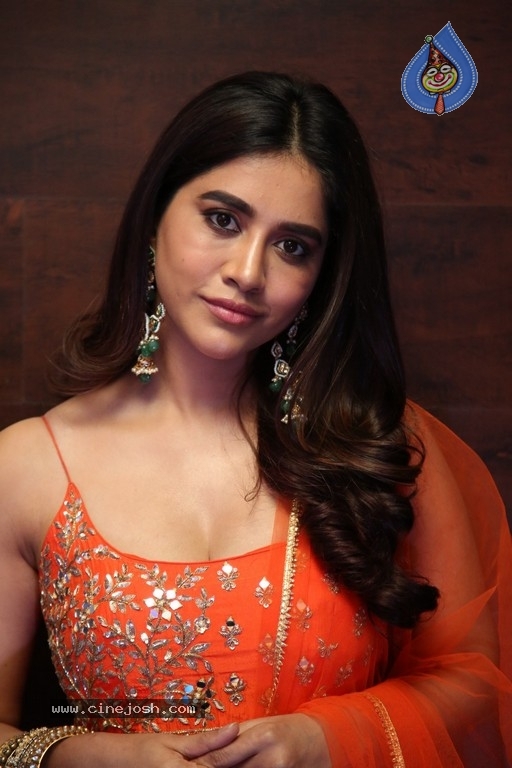 Nabha Natesh Pics - 9 / 19 photos