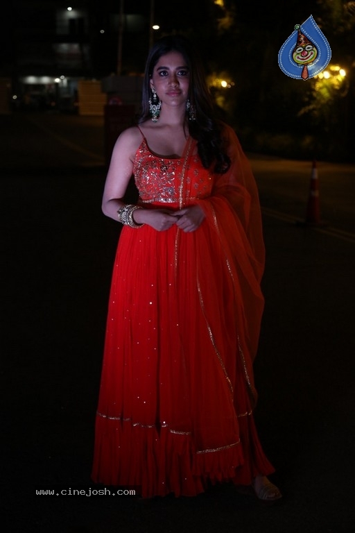 Nabha Natesh Pics - 11 / 19 photos
