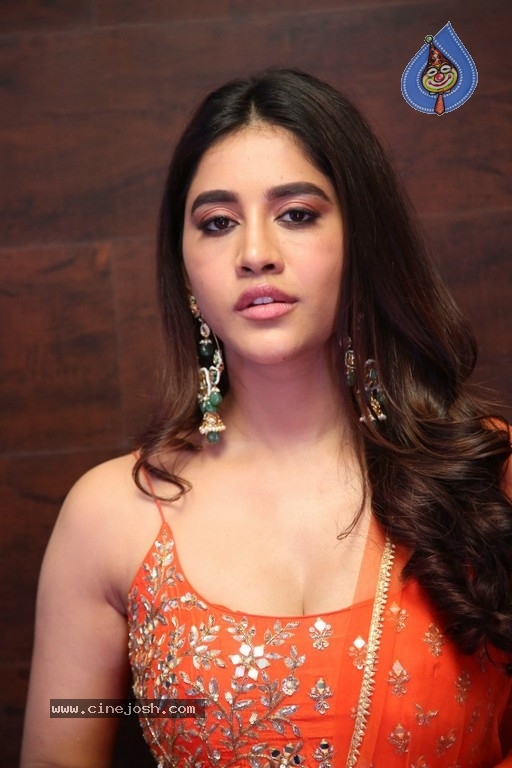 Nabha Natesh Pics - 12 / 19 photos