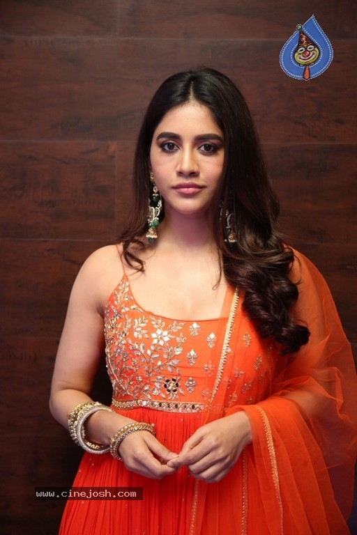 Nabha Natesh Pics - 15 / 19 photos