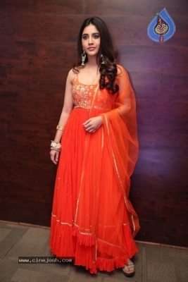 Nabha Natesh Pics - 1 of 19