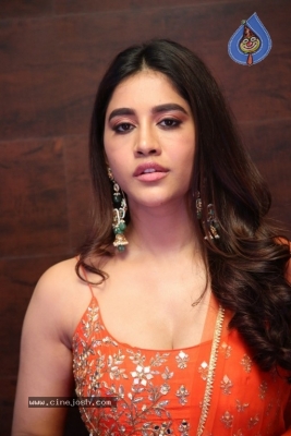 Nabha Natesh Pics - 12 of 19