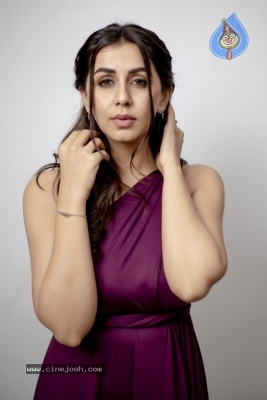 Nikki Galrani Photo Shoot - 11 of 12