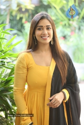 Nivetha Pethuraj - 2 of 21