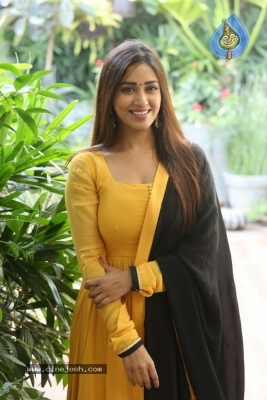 Nivetha Pethuraj - 17 of 21