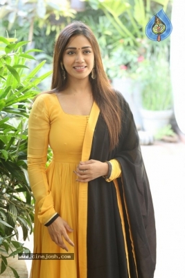 Nivetha Pethuraj - 18 of 21