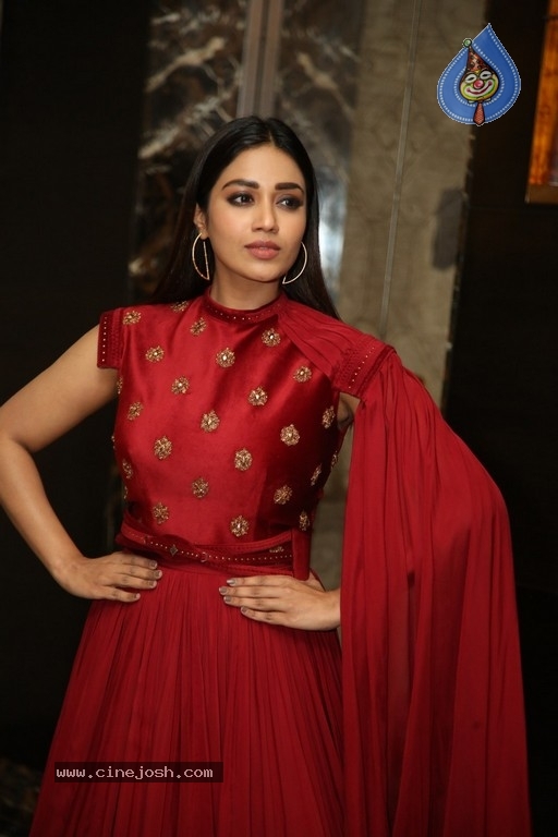 Nivetha Pethuraj Pics - 12 / 16 photos