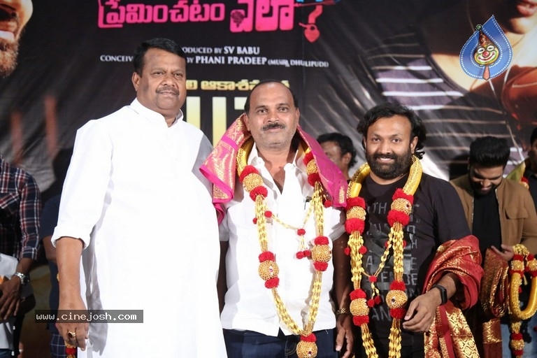 30 Rojullo Preminchadam Ela Success Celebrations - 7 / 21 photos