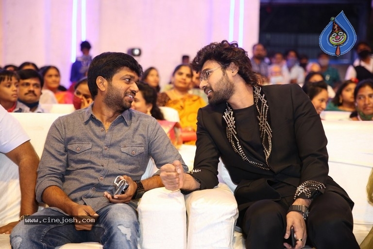 Alludu Adhurs Pre Release Event - 27 / 30 photos