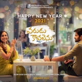 Varudu Kaavalenu Movie Posters