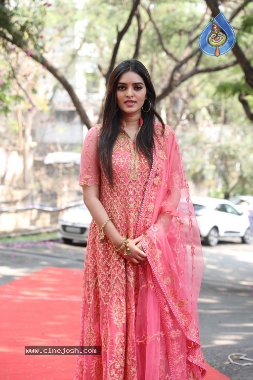 Heena Roy Photos - 12 / 12 photos