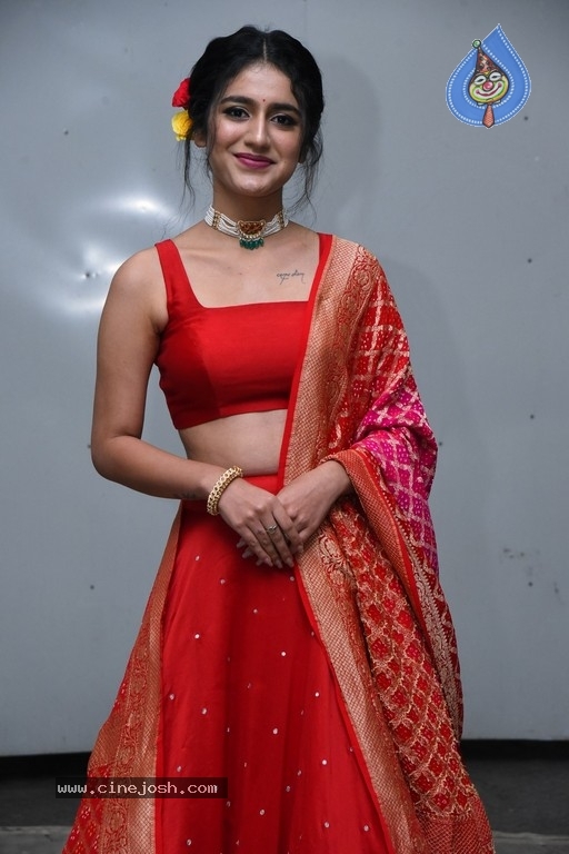 Priya Prakash Varrier Photos - 4 / 21 photos