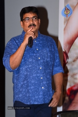 Mayurakshi Movie Audio Launch - 11 of 20