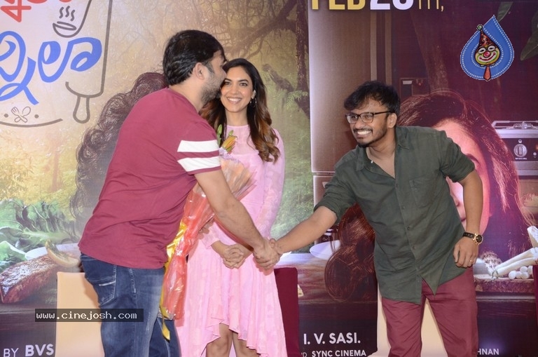 Ninnila Ninnila Movie Press Meet - 10 / 21 photos