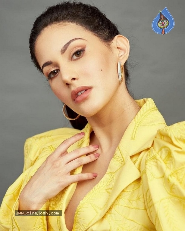 Amyra Dastur New Photos - 4 / 4 photos