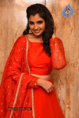 Anchor Shyamala Pics - 16 of 17