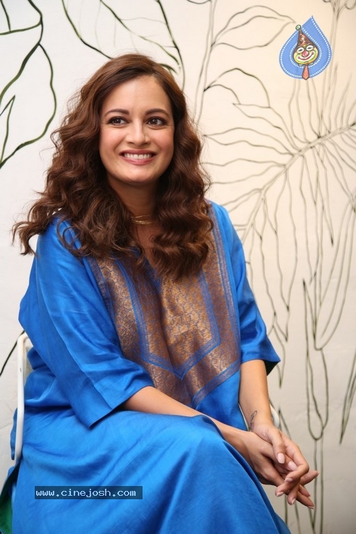 Dia Mirza Interview Photos - 4 / 20 photos