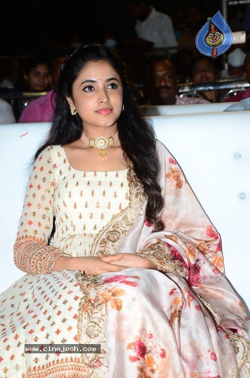 Sreekaram Pre Release Event 01 - 25 / 39 photos