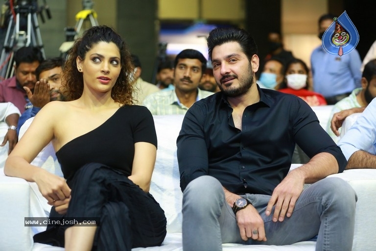 Wild Dog Movie Press Meet - 18 / 55 photos