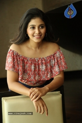 Anjali Interview Photos - 20 of 21