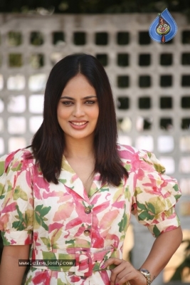 Nandita Swetha Photos - 9 of 17