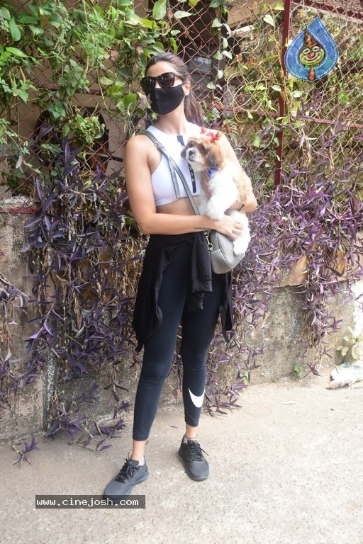 Daisy Shah Spotted At Pet Clinic  - 3 / 17 photos