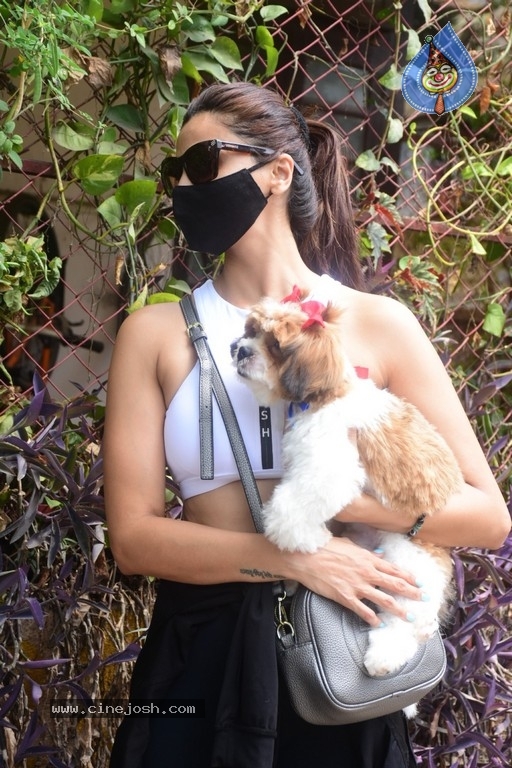 Daisy Shah Spotted At Pet Clinic  - 9 / 17 photos