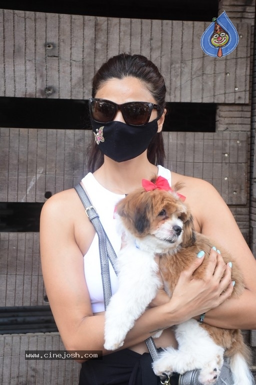 Daisy Shah Spotted At Pet Clinic  - 15 / 17 photos
