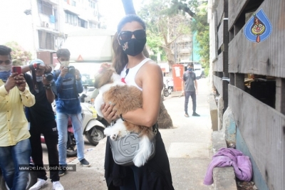 Daisy Shah Spotted At Pet Clinic  - 1 of 17