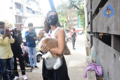 Daisy Shah Spotted At Pet Clinic  - 7 of 17