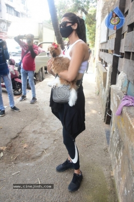 Daisy Shah Spotted At Pet Clinic  - 13 of 17