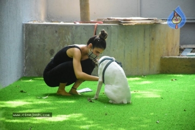 Fatima Sana Shaikh Spotted At Pet Clinic - 9 of 20