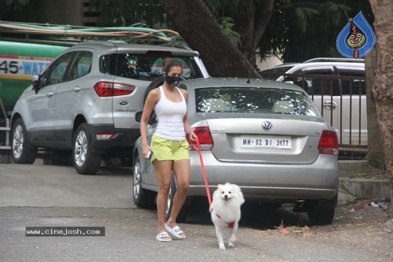 Malaika Arora Snapped With Her Pet Dog - 4 / 7 photos