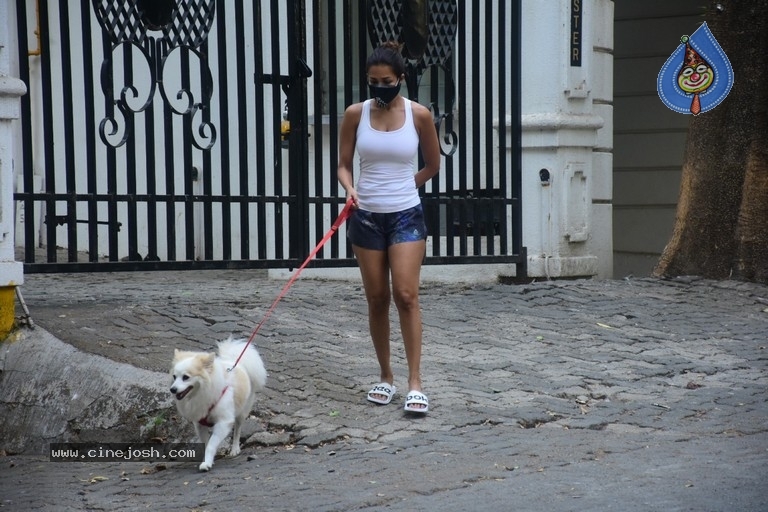 Malaika Arora Spotted At Bandra - 3 / 16 photos