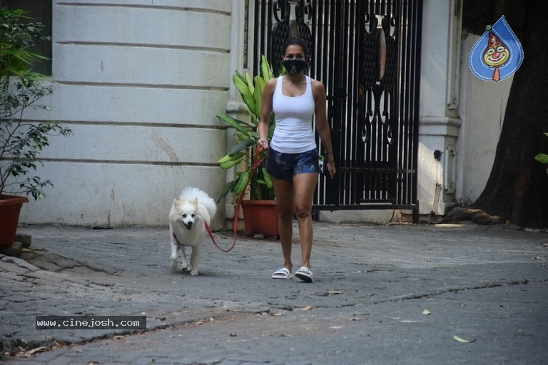 Malaika Arora Spotted At Bandra - 9 / 16 photos