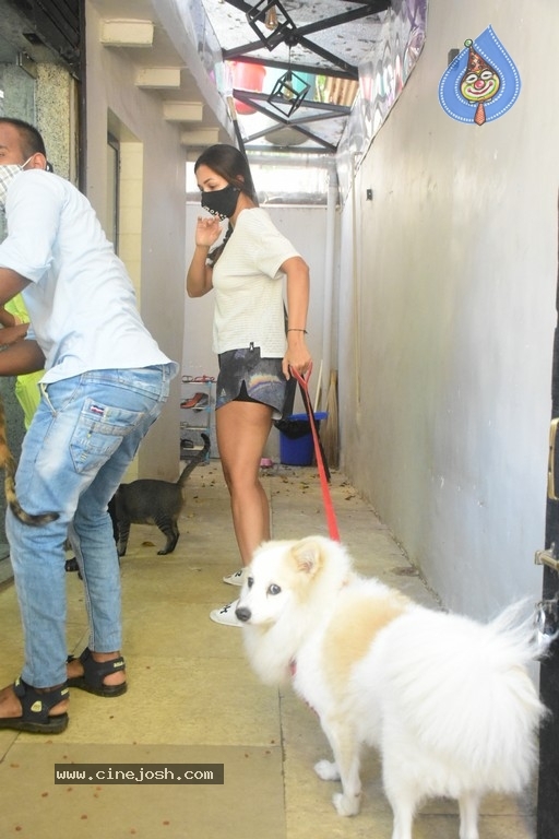 Malaika Arora Spotted Pet Clinic - 5 / 14 photos