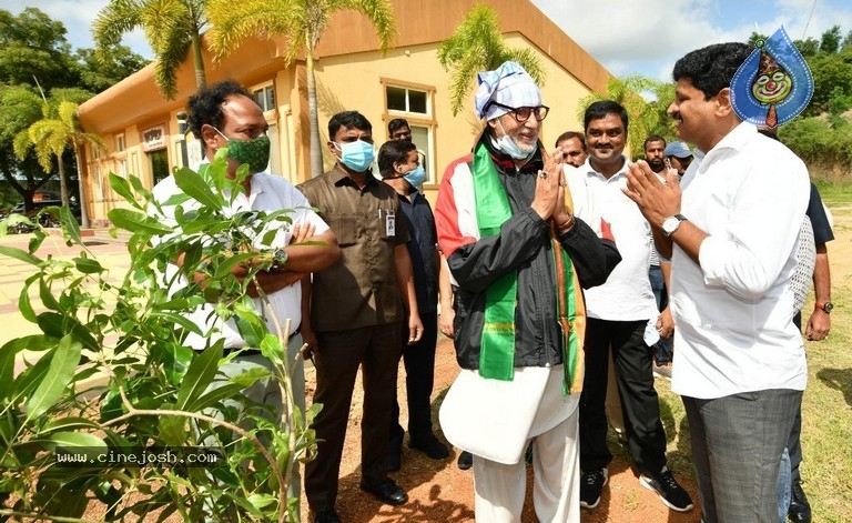 Amitabh plants trees - 3 / 10 photos