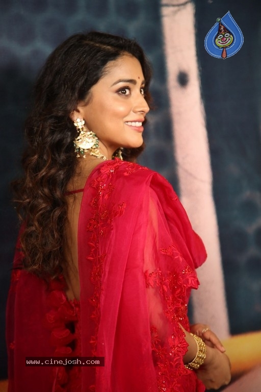 Shriya Saran Photos - 18 / 20 photos