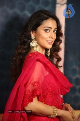 Shriya Saran Photos - 20 of 20